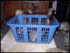 Panda and Bear inside. Wizzer and Cocoa Bean standing. Smokey beside.